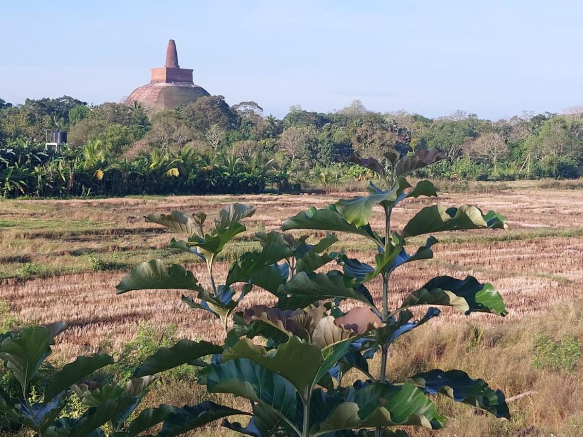 Green Shield Resort Anuradhapura Ngoại thất bức ảnh