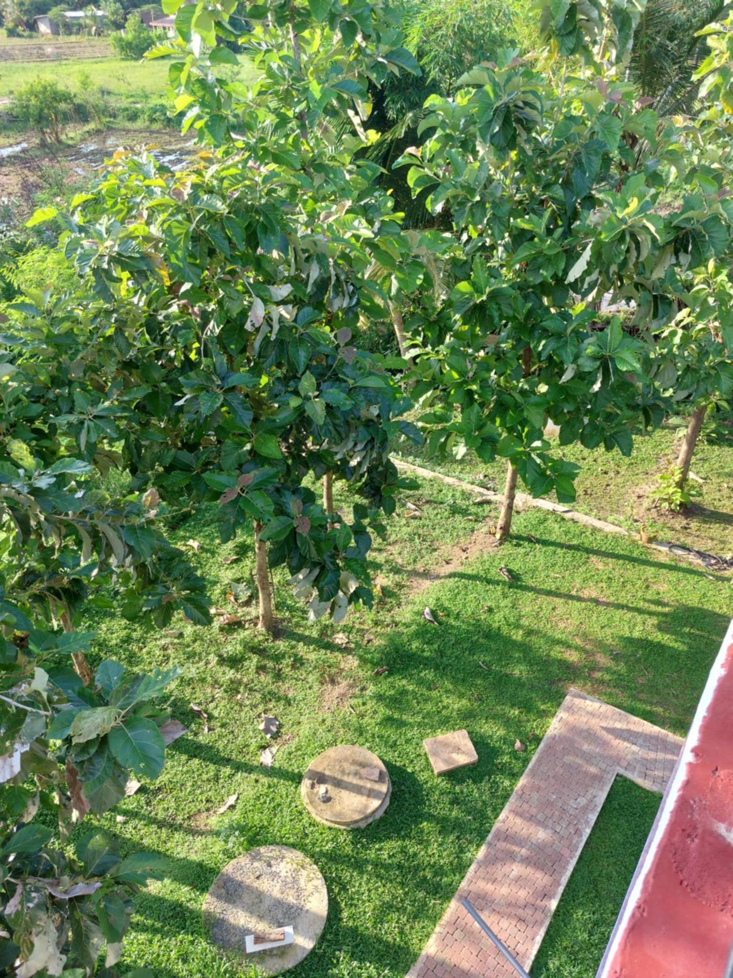 Green Shield Resort Anuradhapura Ngoại thất bức ảnh