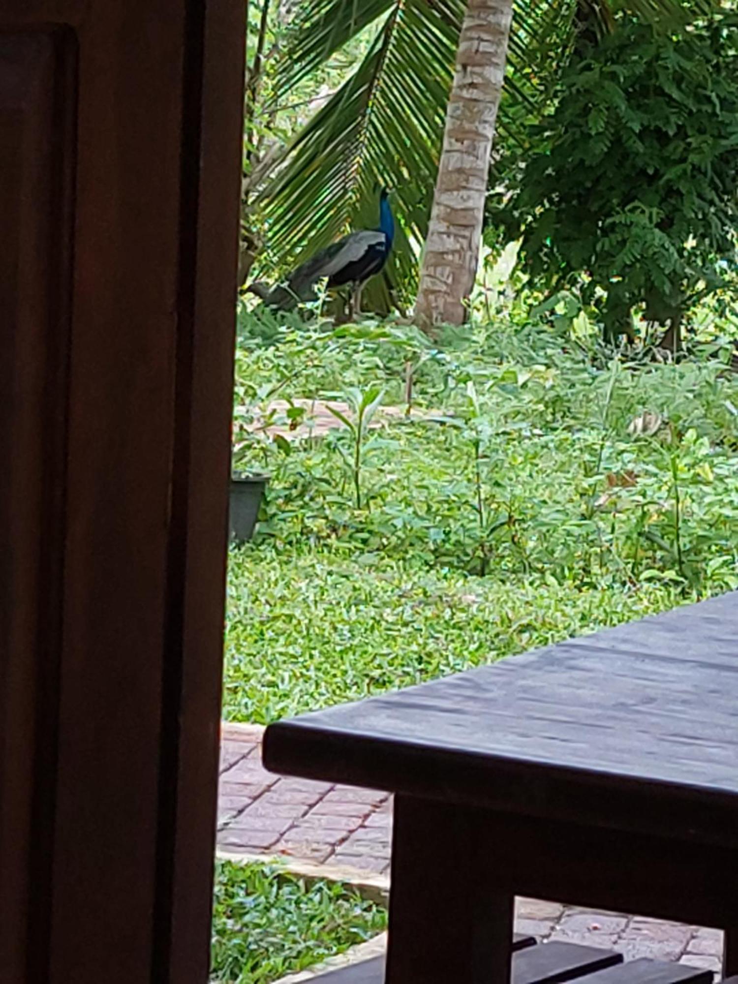 Green Shield Resort Anuradhapura Ngoại thất bức ảnh