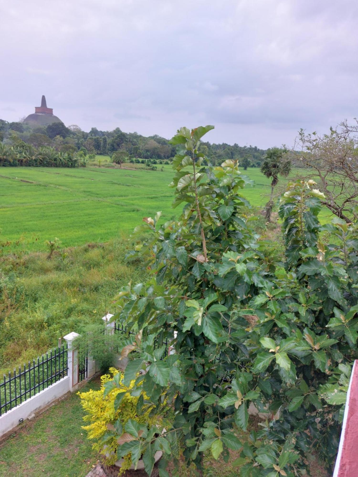 Green Shield Resort Anuradhapura Ngoại thất bức ảnh