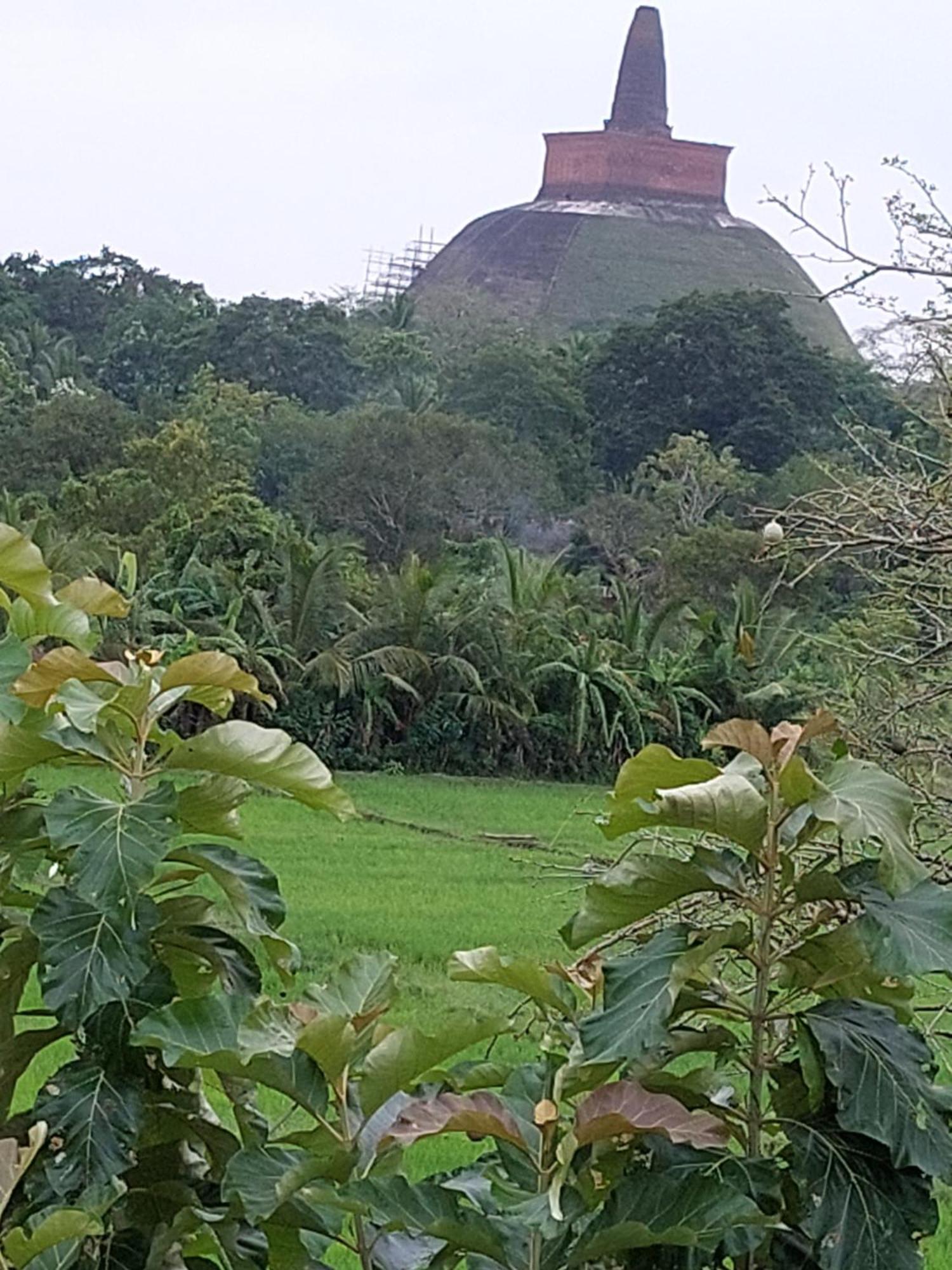 Green Shield Resort Anuradhapura Ngoại thất bức ảnh