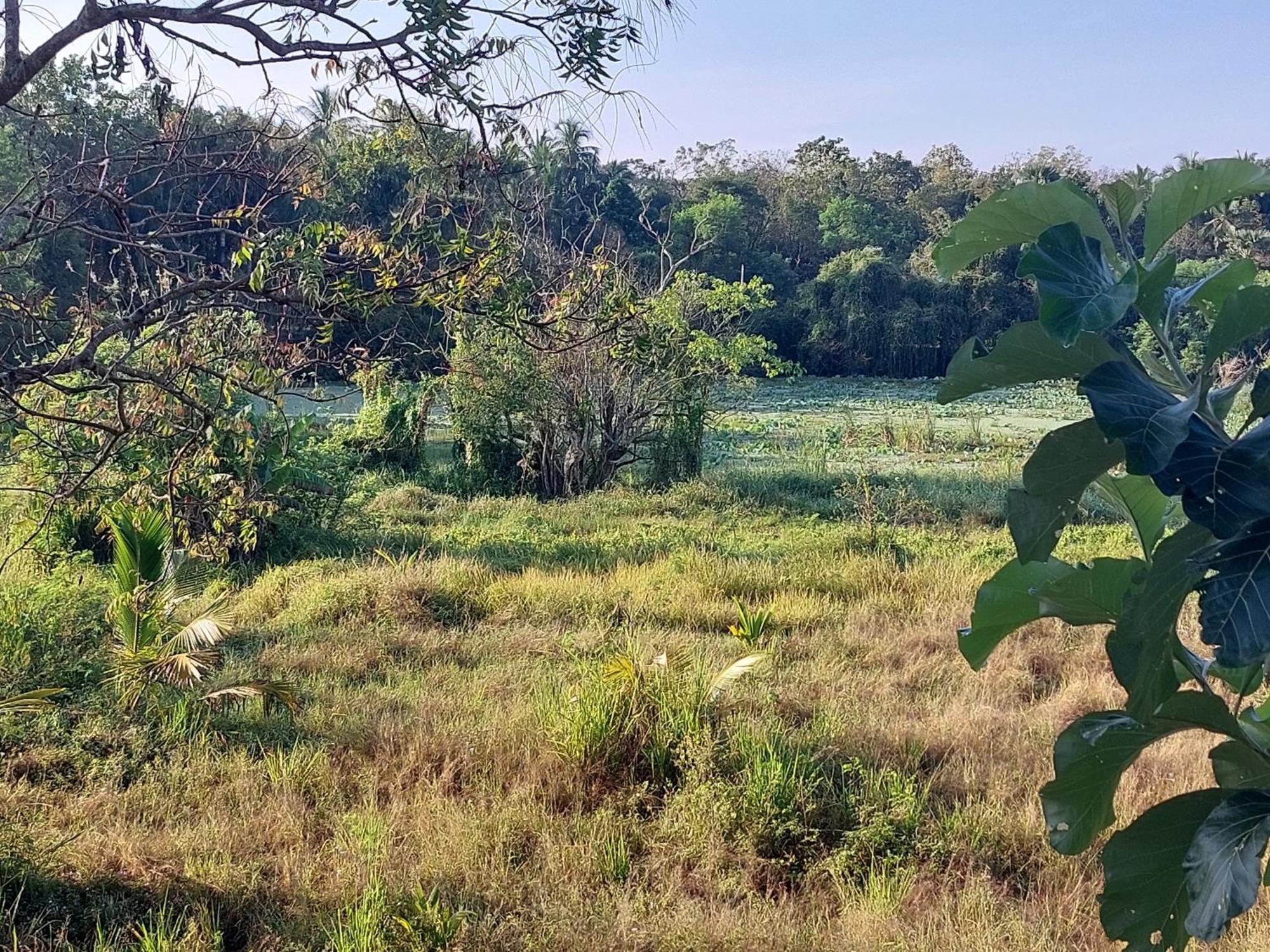 Green Shield Resort Anuradhapura Ngoại thất bức ảnh